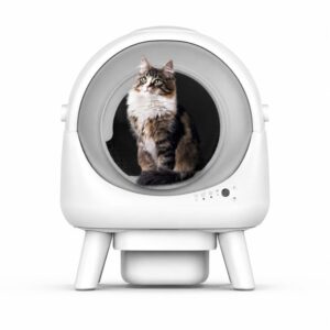 Litiere easycat blanche