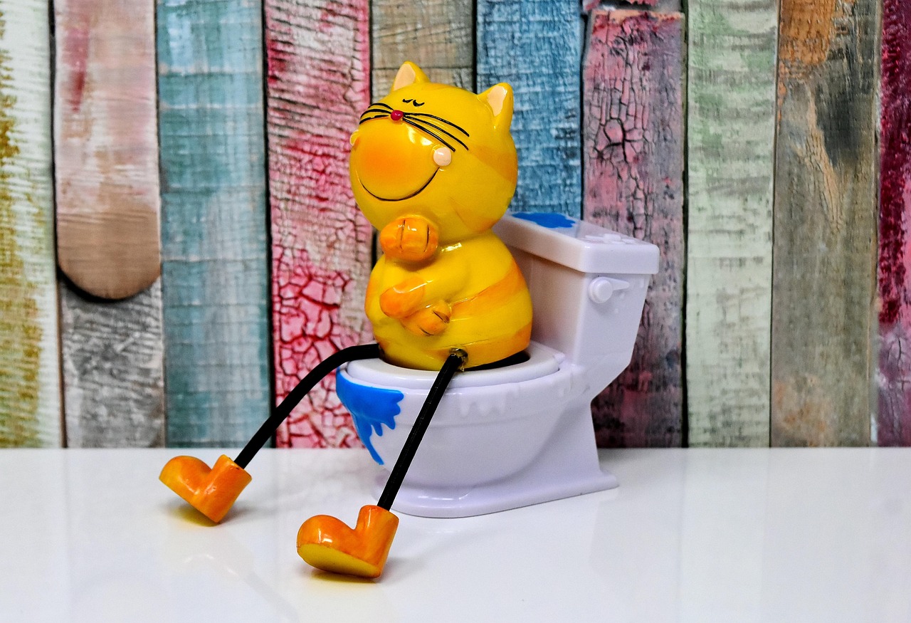 Quelle taille de litière automatique choisir pour un grand chat ?