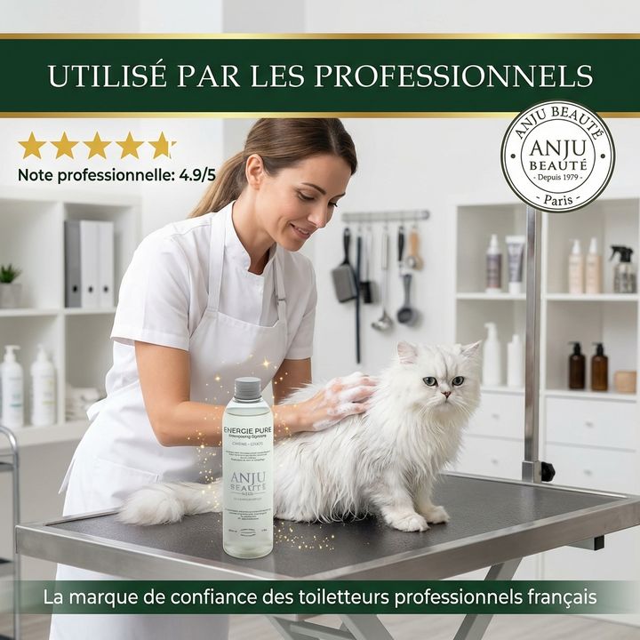 Shampooing énergie pure - Anju Beauté – Image 4