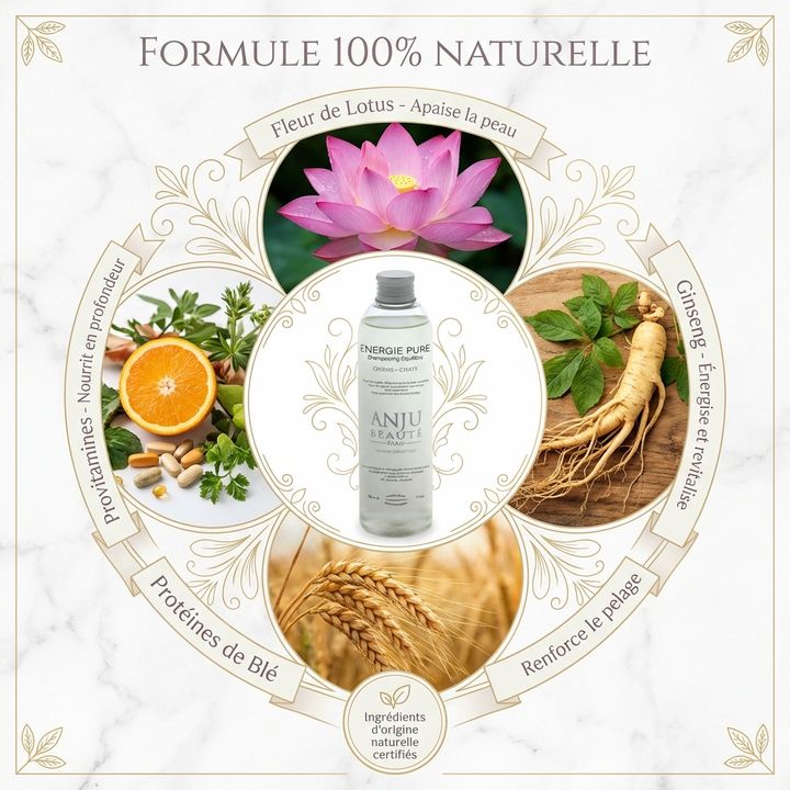 Shampooing énergie pure - Anju Beauté – Image 7