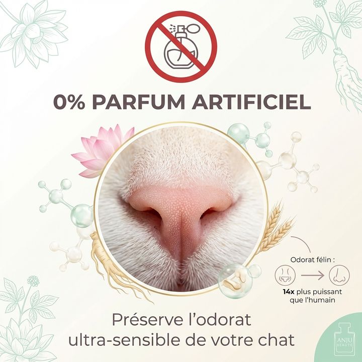 Shampooing énergie pure - Anju Beauté – Image 2