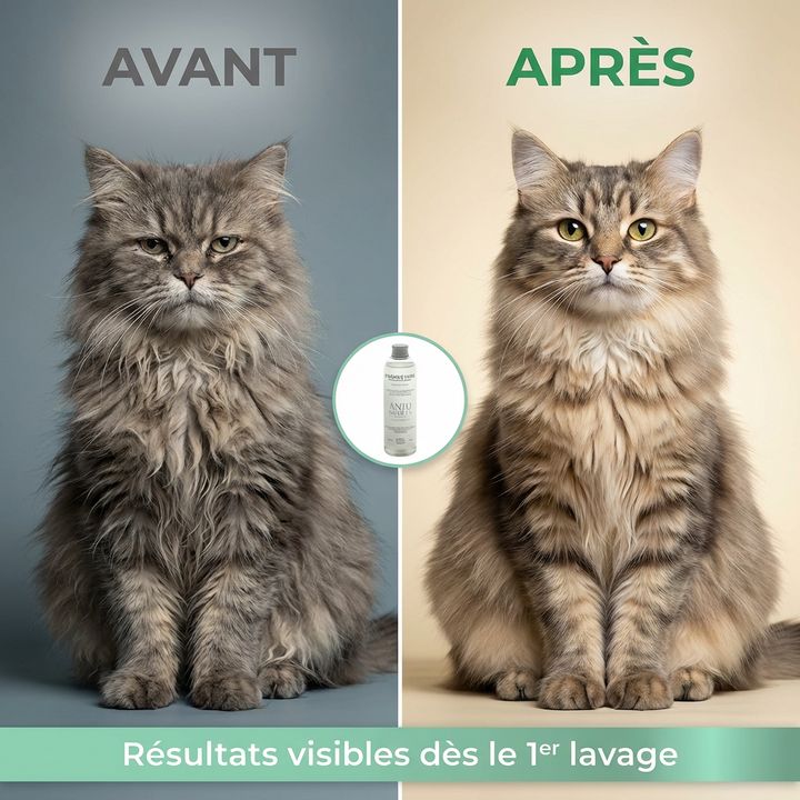 Shampooing énergie pure - Anju Beauté – Image 3