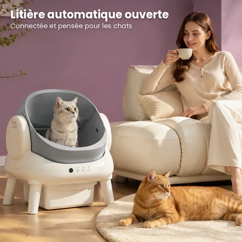 Chat utilisant la litière automatique ouverte easycat dans un salon
